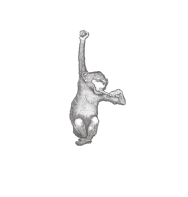studio-bevilacqua logo